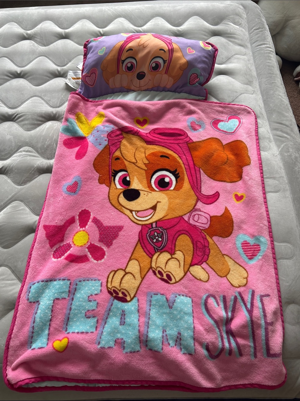 Paw Patrol Skye Pink Kids Nap Set - Pink, Purple, Turquoise Accents